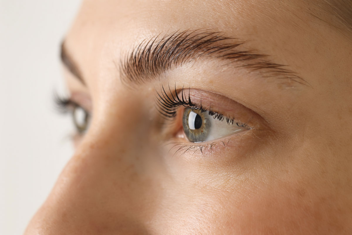 brow-lamination